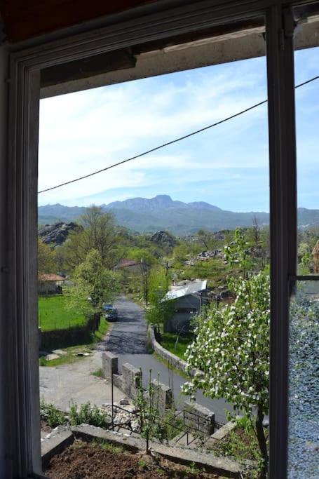 Una Apartment Cetinje Dış mekan fotoğraf