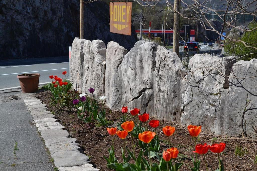 Una Apartment Cetinje Dış mekan fotoğraf
